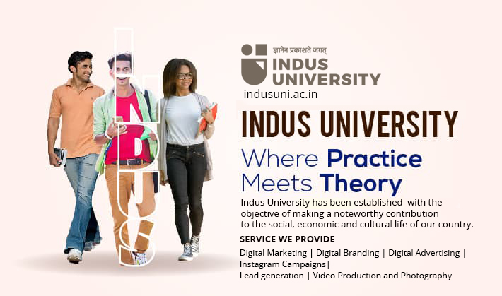 indus-university